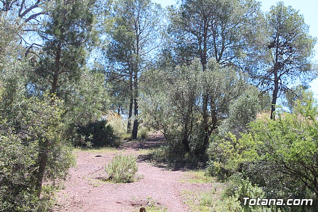 Jornada de convivencia Hermandades y Cofradas. Sbado 27 de abril de 2019 - 106