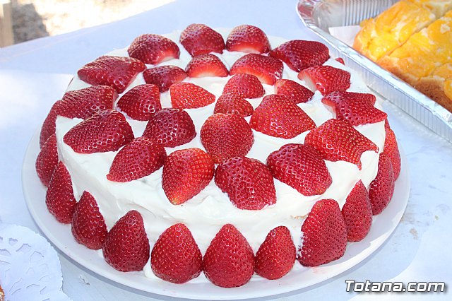 Jornada de convivencia Hermandades y Cofradas. Sbado 27 de abril de 2019 - 224