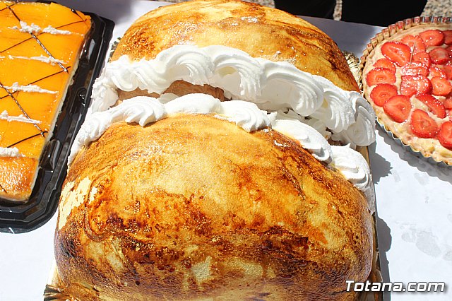 Jornada de convivencia Hermandades y Cofradas. Sbado 27 de abril de 2019 - 250