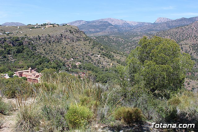 Jornada de convivencia Hermandades y Cofradas. Domingo 28 de abril de 2019 - 65