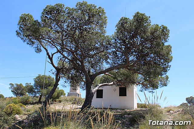 Jornada de convivencia Hermandades y Cofradas. Domingo 28 de abril de 2019 - 66