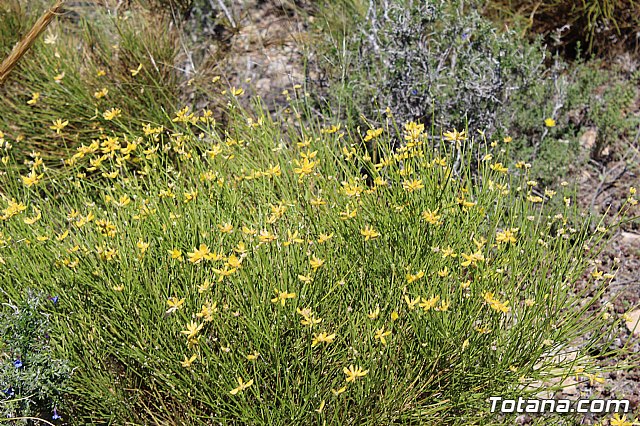 Jornada de convivencia Hermandades y Cofradas. Domingo 28 de abril de 2019 - 71