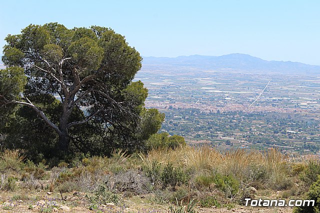 Jornada de convivencia Hermandades y Cofradas. Domingo 28 de abril de 2019 - 75
