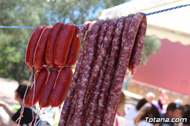 Jornada de convivencia Hermandades y Cofradas. Domingo 28 de abril de 2019 - 94