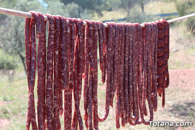 Jornada de convivencia Hermandades y Cofradas. Domingo 28 de abril de 2019 - 159