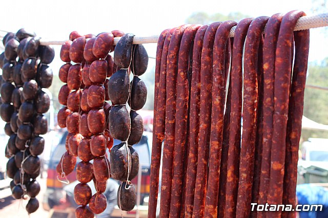 Jornada de convivencia Hermandades y Cofradas. Domingo 28 de abril de 2019 - 160