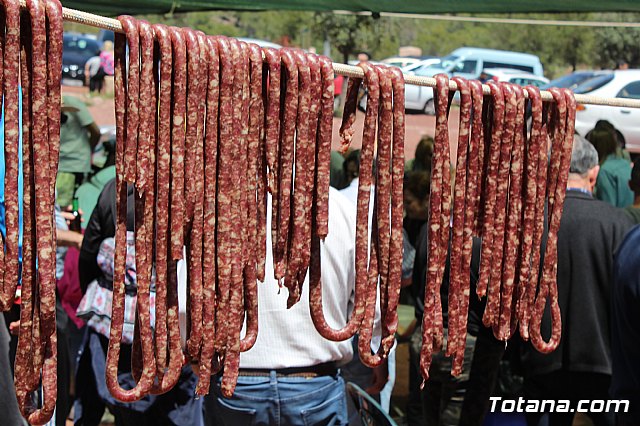 Jornada de convivencia Hermandades y Cofradas. Domingo 28 de abril de 2019 - 190