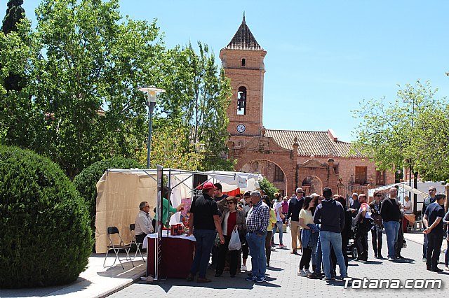 Jornada de convivencia Hermandades y Cofradas. Domingo 28 de abril de 2019 - 219