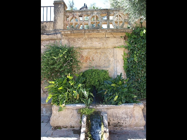 La Asociacin Cultural El Caico organiz una escapada a Crdoba - 37