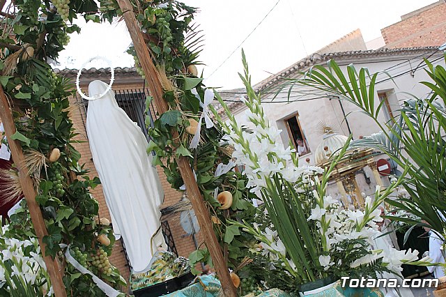 Procesin del Corpus Christi - Totana 2013 - 367