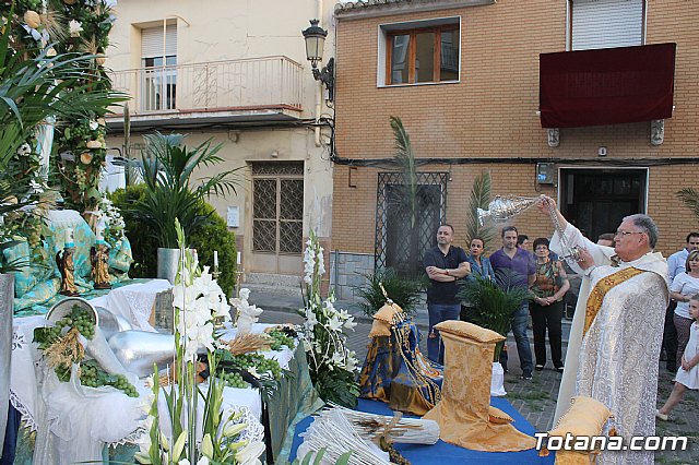 Procesin del Corpus Christi - Totana 2013 - 369