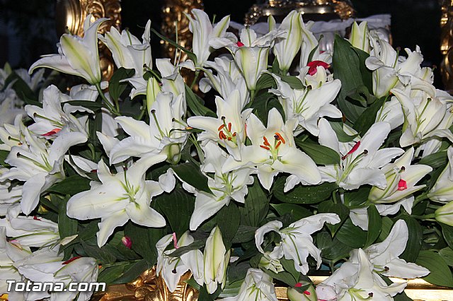 Procesin del Corpus Christi - Totana 2015 - 402