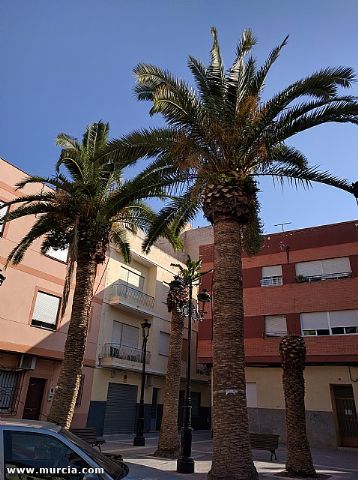 Procesin del Corpus Christi Archena 2016 - 15