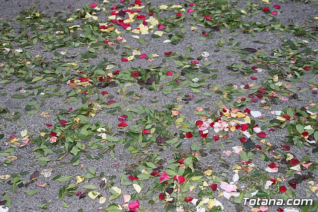 Procesin del Corpus Christi - Totana 2017 - 91