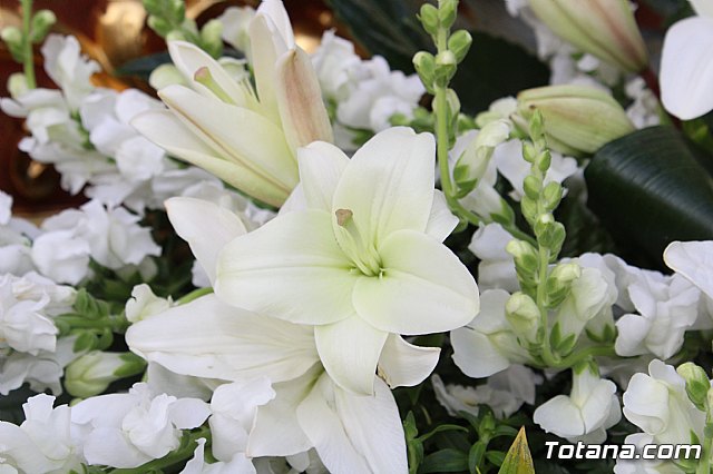 Procesin del Corpus Christi - Totana 2018 - 27