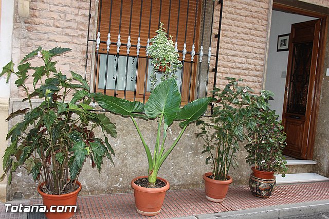 Procesin del Corpus Christi - Totana 2014 - 133