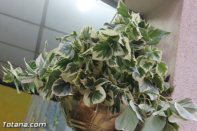 Procesin del Corpus Christi - Totana 2014 - 206