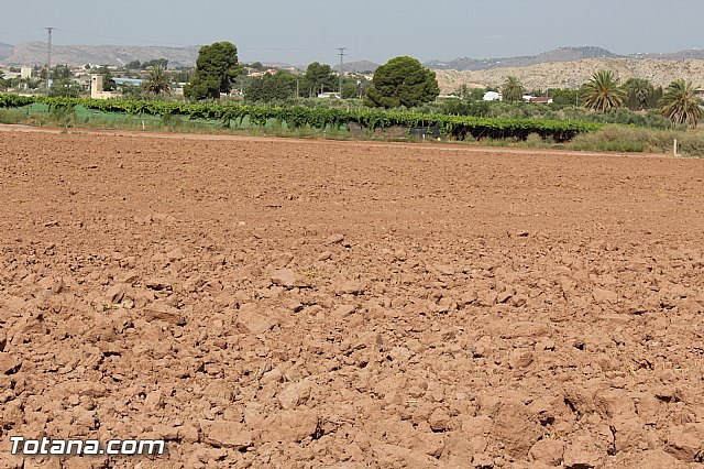 Fiestas de La Costera-orica 2015 - Marcha ciclista - 120