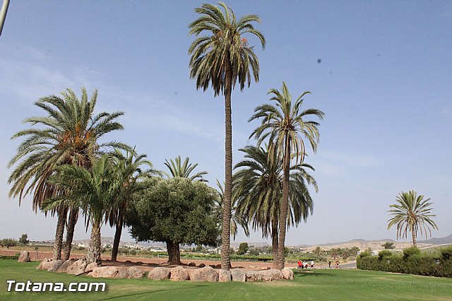 Fiestas de La Costera-orica 2015 - Marcha ciclista - 137