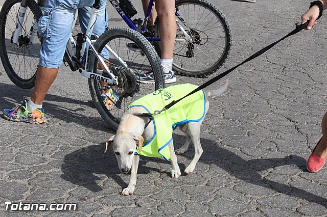 Fiestas de La Costera-orica 2015 - Marcha ciclista - 145