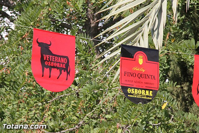 Fiestas de La Costera-orica 2016 - Marcha ciclista - 27