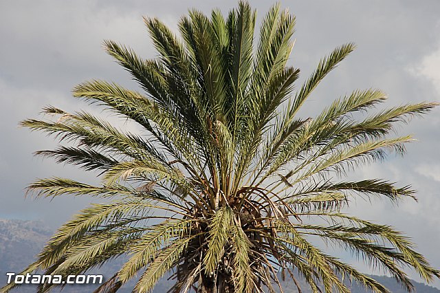 Fiestas de La Costera-orica 2016 - Marcha ciclista - 187