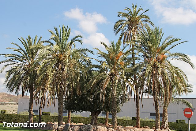 Fiestas de La Costera-orica 2016 - Marcha ciclista - 188
