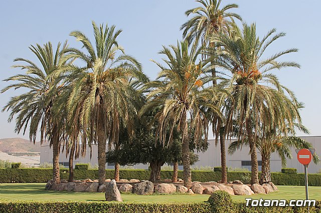 Marcha ciclista fiestas La Costera - orica 2017 - 106