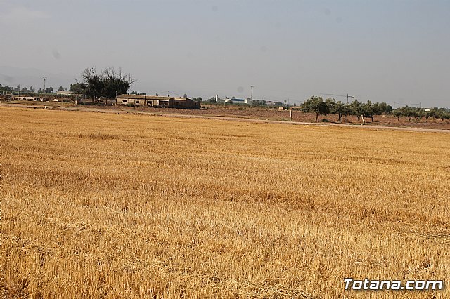 Marcha ciclista fiestas La Costera - orica 2017 - 126
