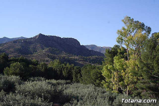 Don Cristobal Guerrero Ros celebr sus Bodas de oro sacerdotales - 216