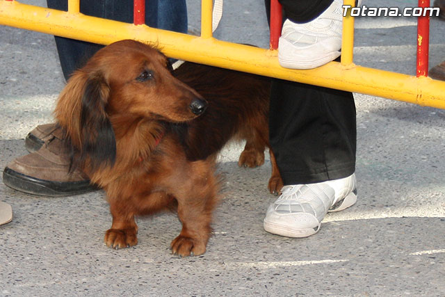 XXIV Cross de la Constitucin - 248