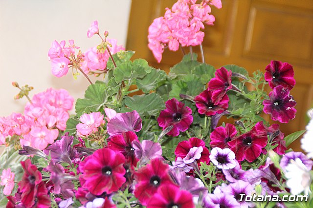 Misa y procesin Cruces de Mayo. La Cada 2019 - 149