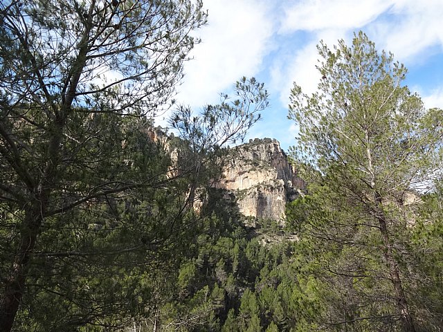 Ruta senderista del Club Senderista Totana por la Sierra de Moratalla - 15