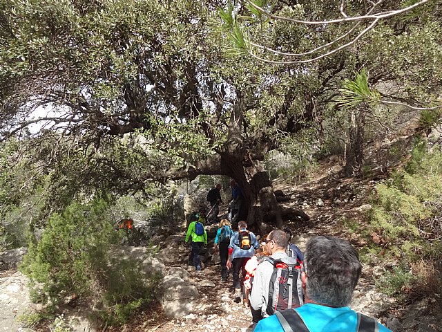Ruta senderista del Club Senderista Totana por la Sierra de Moratalla - 20