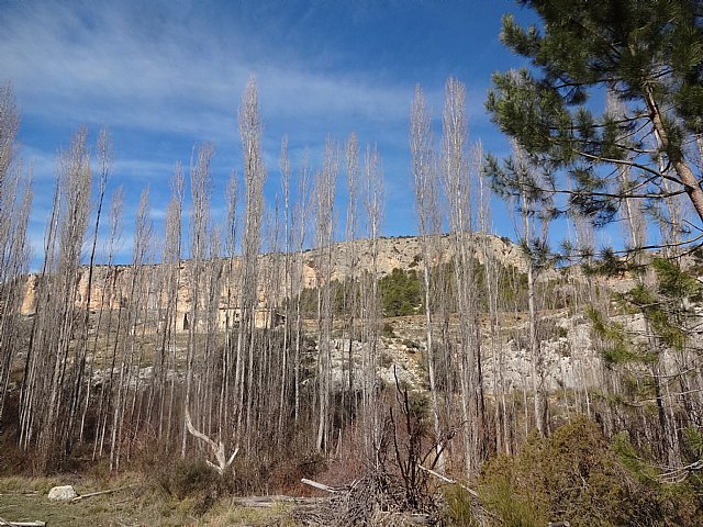 Ruta senderista del Club Senderista Totana por la Sierra de Moratalla - 35