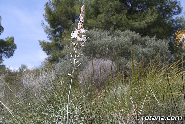 Custom Totana - Jornada de convivencia en La Santa 2012 - 83