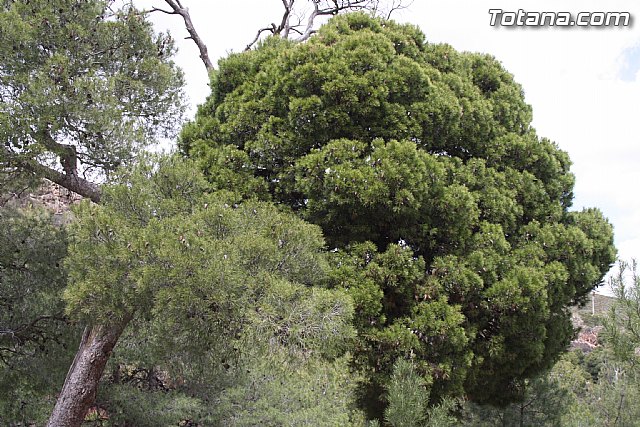 Custom Totana - Jornada de convivencia en La Santa 2012 - 97