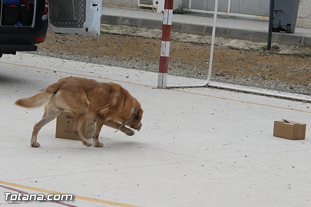 Muestra de efectivos de la Guardia Civil - Colegio Luis Perez Rueda - 12