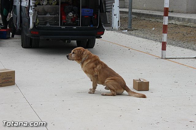 Muestra de efectivos de la Guardia Civil - Colegio Luis Perez Rueda - 13