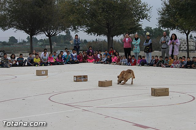 Muestra de efectivos de la Guardia Civil - Colegio Luis Perez Rueda - 14