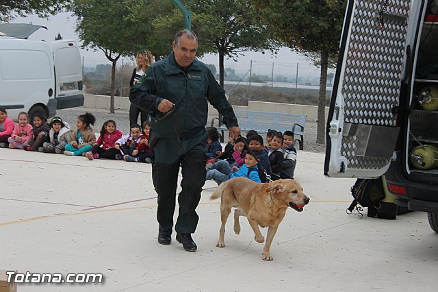 Muestra de efectivos de la Guardia Civil - Colegio Luis Perez Rueda - 20