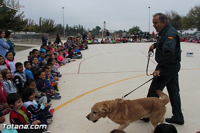 Muestra de efectivos de la Guardia Civil - Colegio Luis Perez Rueda - 22