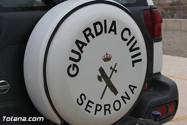 Muestra de efectivos de la Guardia Civil - Colegio Luis Perez Rueda - 53