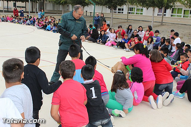 Muestra de efectivos de la Guardia Civil - Colegio Luis Perez Rueda - 123