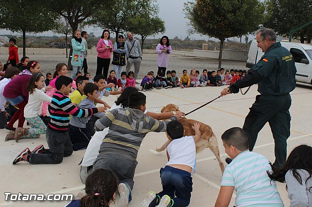 Muestra de efectivos de la Guardia Civil - Colegio Luis Perez Rueda - 124