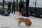 Guardia Civil