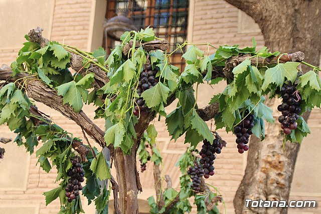xito de organizacin y participacin de la Fiesta del Folklore y las Tradiciones 
