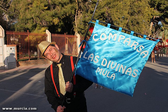 Primer desfile con comparsas de la Regin de Murcia en Totana (Reportaje II) - 361