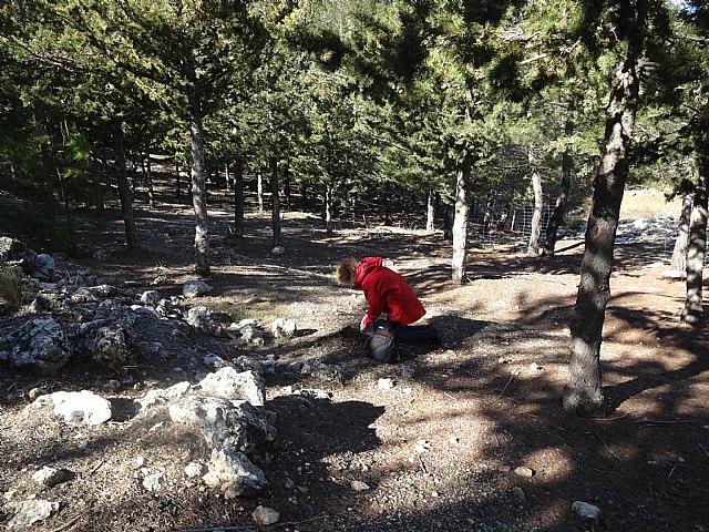 El club senderista de Totana celebr el 