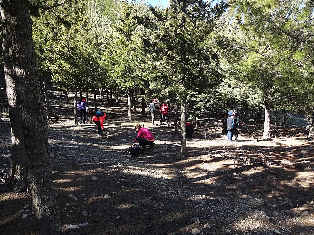 El club senderista de Totana celebr el 